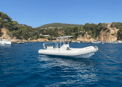 THE GUARDIAN, APEX 124 OPEN