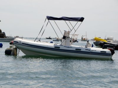 MARSEA-50-10